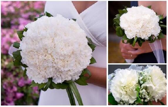 Carnation wedding flower package.