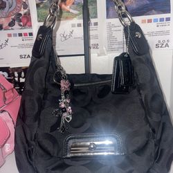 2011 Coach Bag 