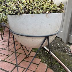 West Elm Flower pots