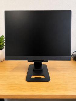 Portable monitor