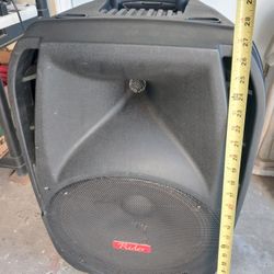 15" RIDER BLUETOOTH SPEAKER WITH EQUALIZERWORKS EXCELLENT 
