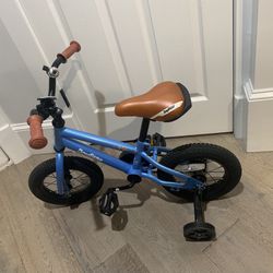 Kids Blue Bike 