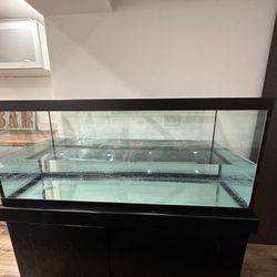 75g Gallon Tank Aquarium Fish Includes Stand