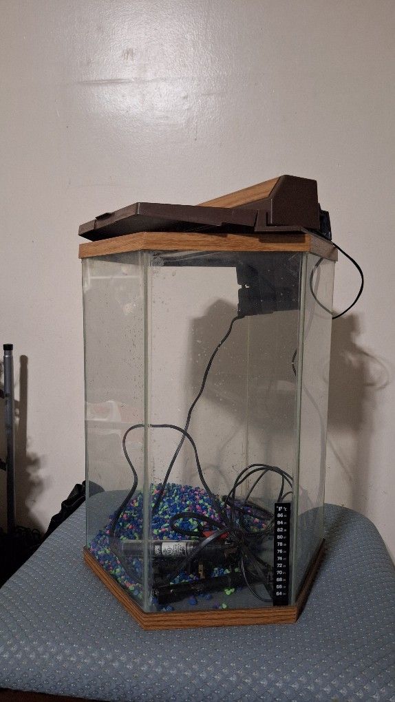 10 Gallon Aquarium
