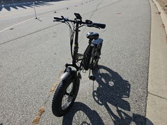 Auloor Folding Electric Bike