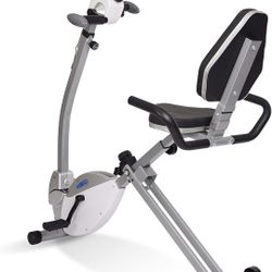 Stamina  Recumbent Exercise Bike