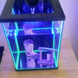 Small Fish Tank 40 Obo 