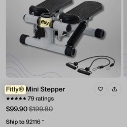 Fitly Mini Stepper 