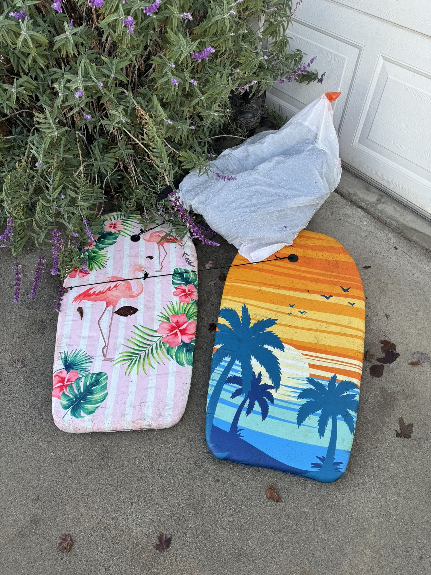 Santa Cruz Boogie Boards!