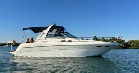 1999 Sea Ray Sundancer 310