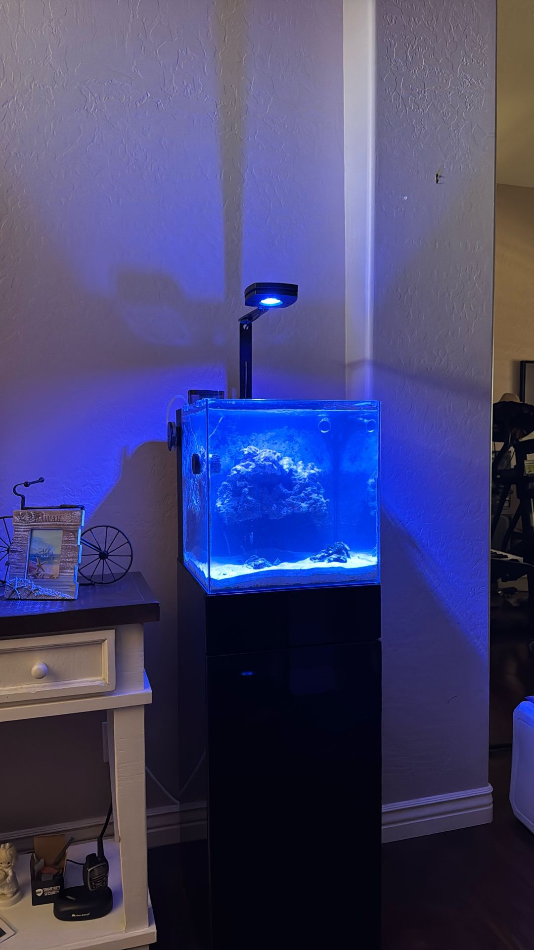 Fish Tank and Accessories