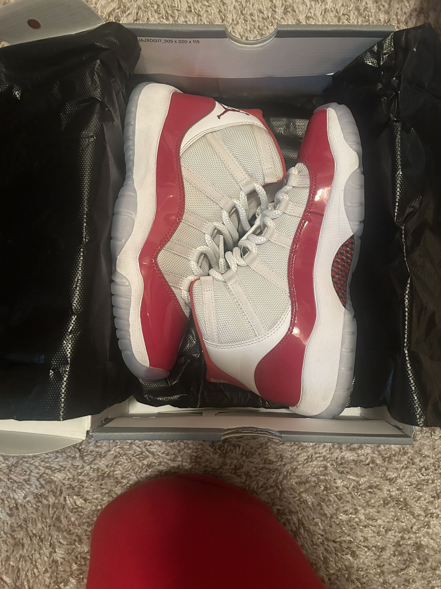 Jordan 11 Cherrys 