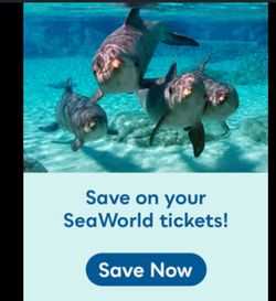 SeaWorld Annual membership