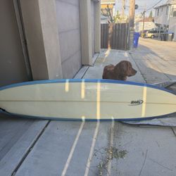 Harv Surfboard