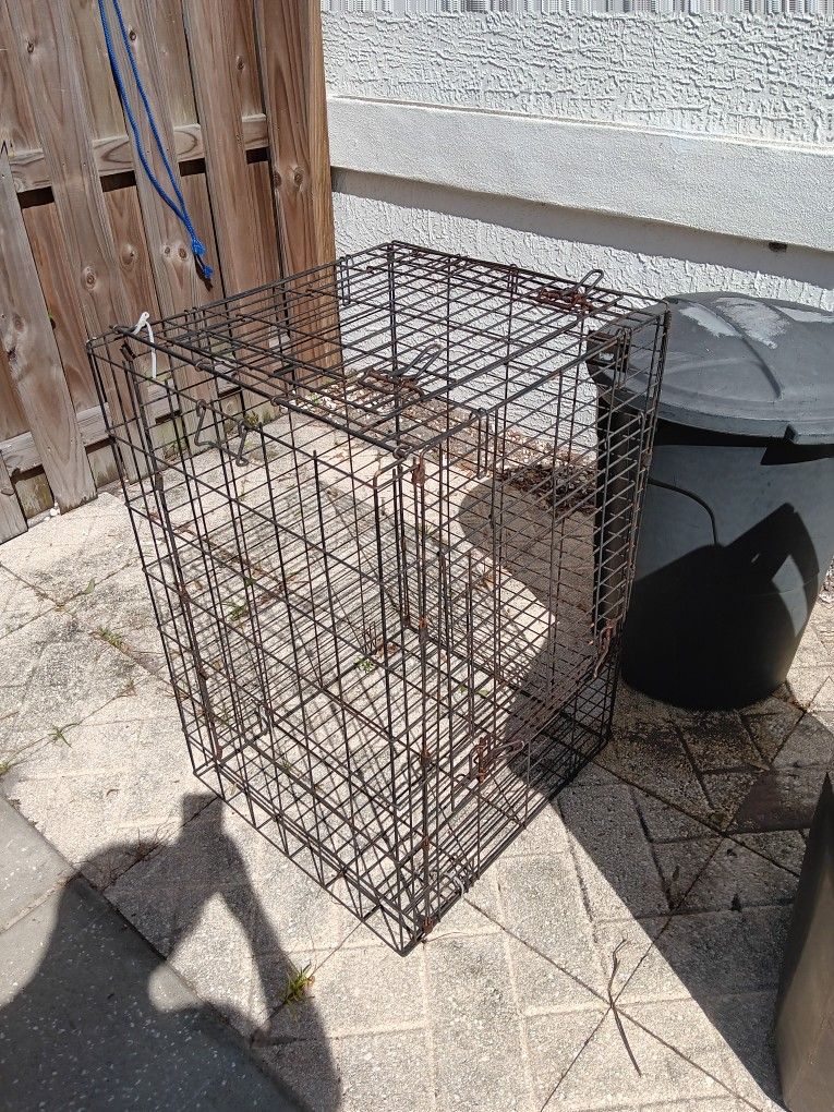 Dog Cages