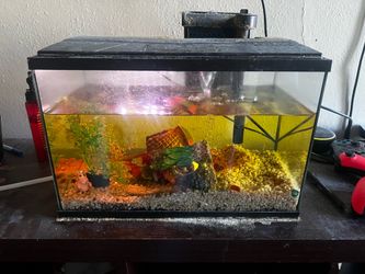 Fish tank