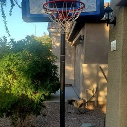 Lifetime Basketball Hoop
