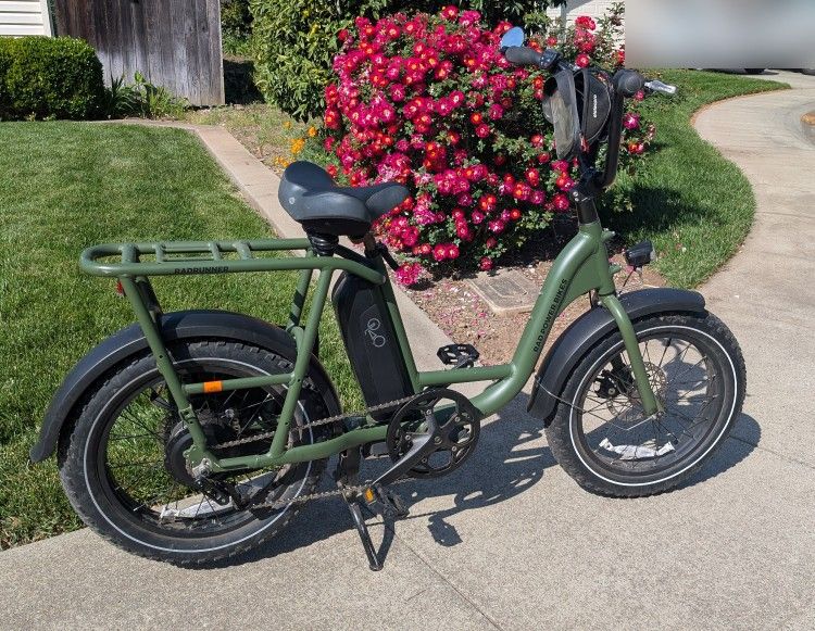 Radrunner 2 Electric Bicycle