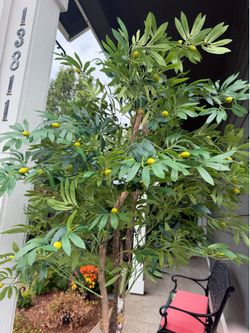 Cypress & Alabaster handmade 6.5 ft olive tree