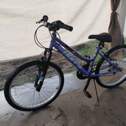 New Bike. Intertubes Are Good. 40 Obo