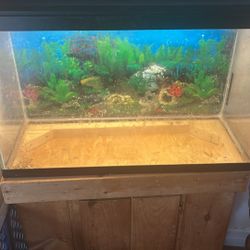 Fish tank
