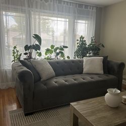 Grey Sofa 