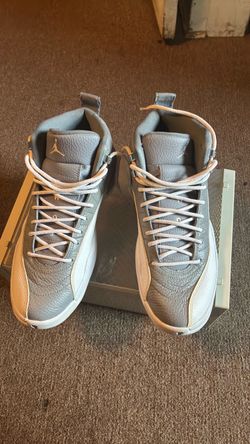 Jordan 12 stealth