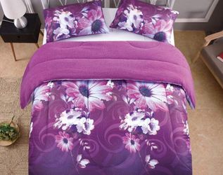 Borrego blankets