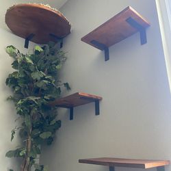 Cat Shelves/Cat Tower