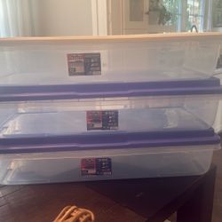 Hefty Large Storage Bins (3)