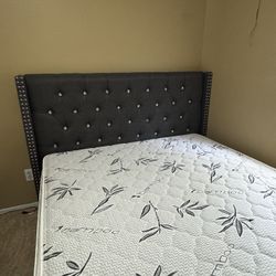 Queen bed Frame 