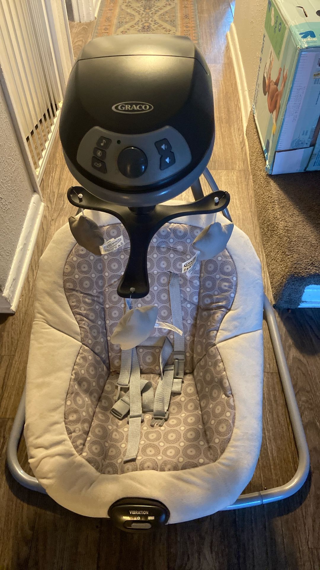 Graco Swing 