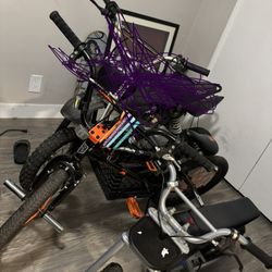 Mini Dirtbike Frame And Bmx (Trade Both For Throne) Or Best Offer  