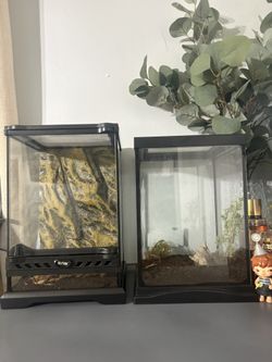 Terrariums