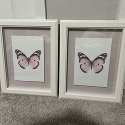 Butterfly Pictures
