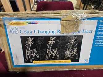 Christmas Decor 🎄 