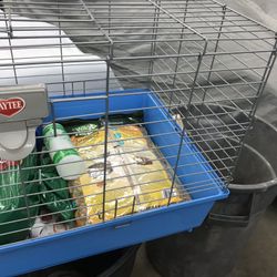 Guineu pig cage