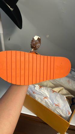 LV slides