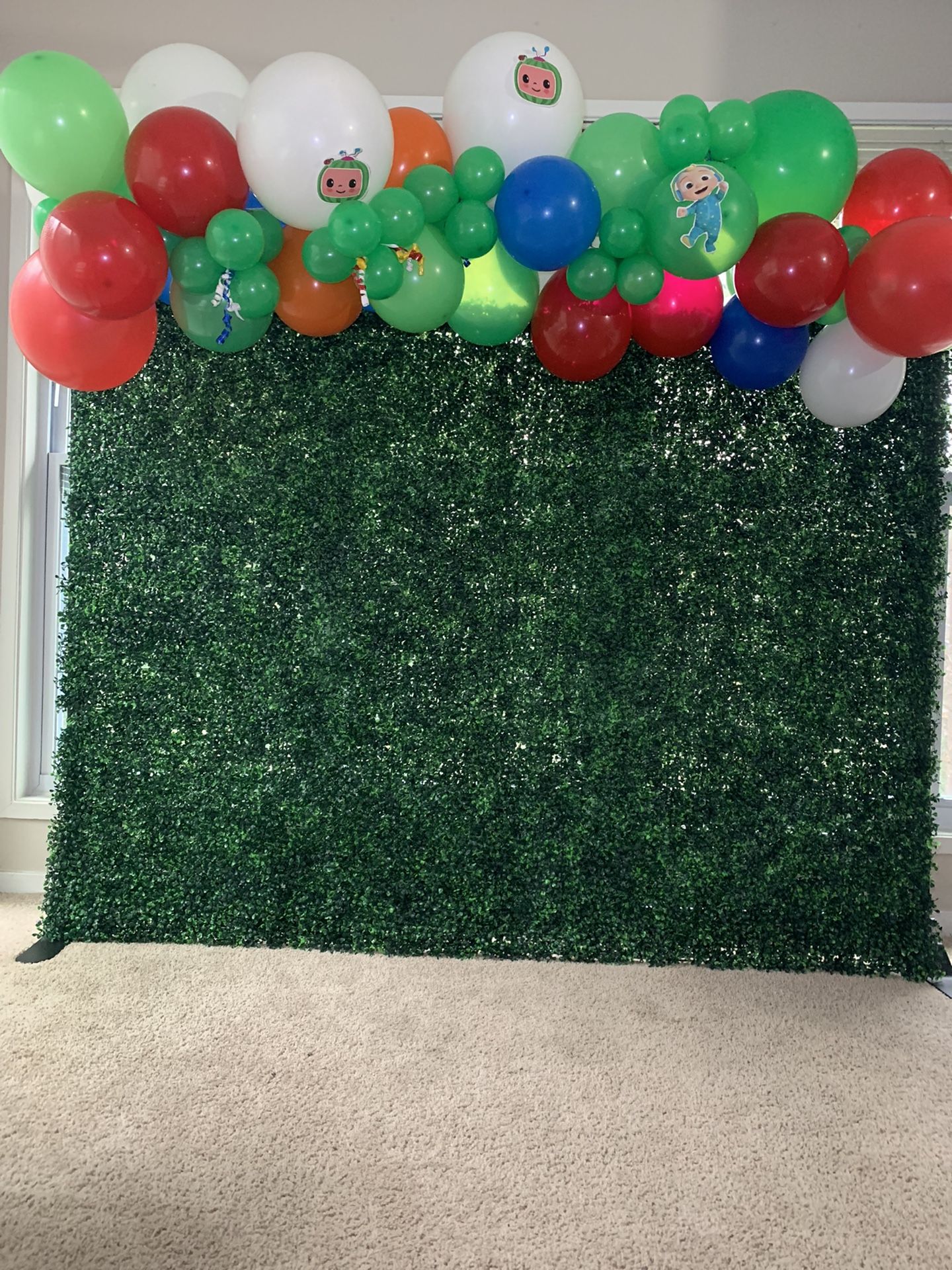 Balloon Garland