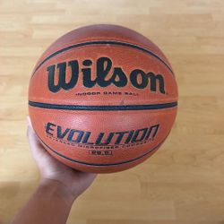 Wilson Evolution Ball
