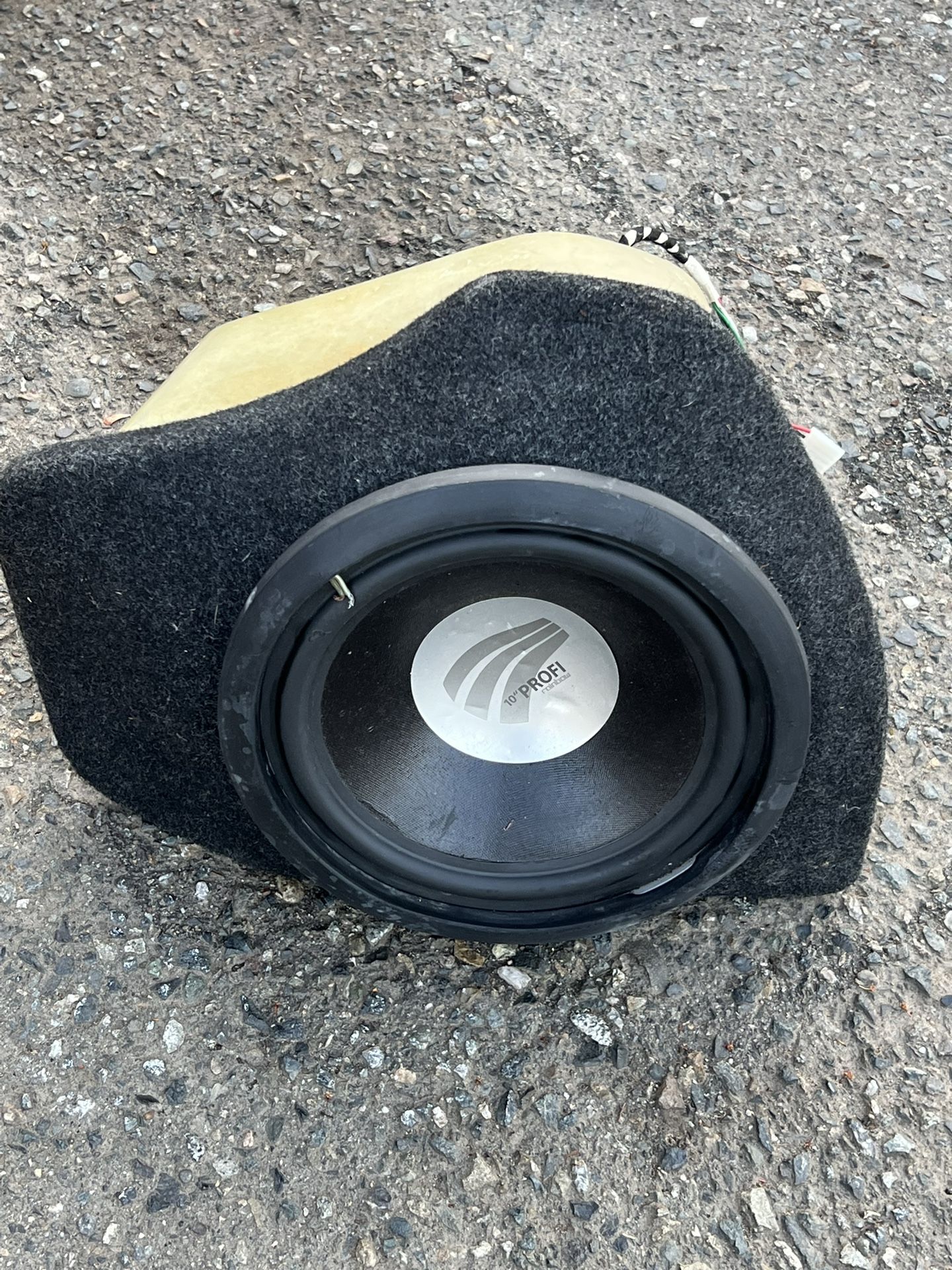 10 Inch Profi Rainbow Subwoofer