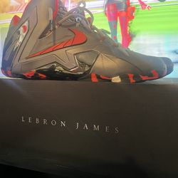 LeBron Xll 