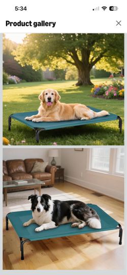 Elevated Dog Bed for Outdoor, XXXL Raised Dogs Cot with Washable Mesh, Cooling Pet Beds Chew Proof Dog Hammock, Metal Frame Lifted Platform for Traini