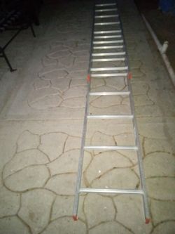 Extended ladder ( 16 feet tall )
