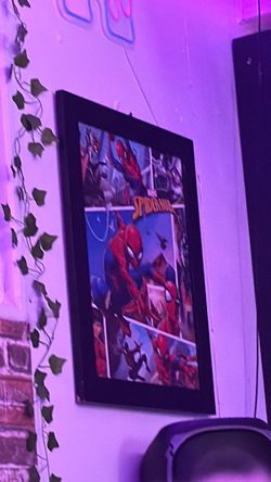 Spider Man Picture