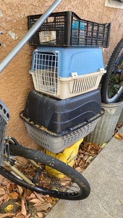 Pets Kennel