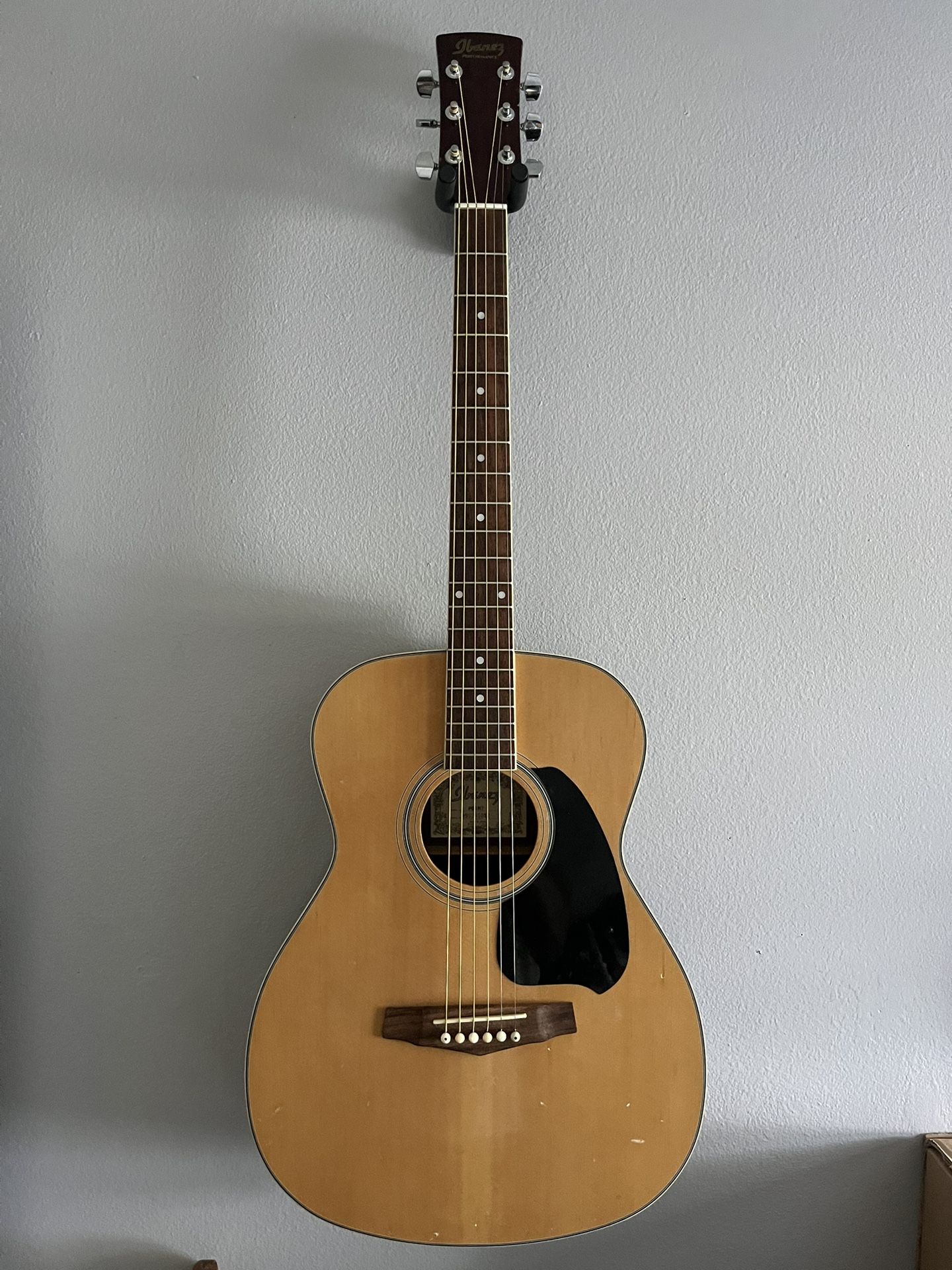Ibanez PG4NT Acoustic Guitar