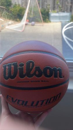 Wilson Evo basketball