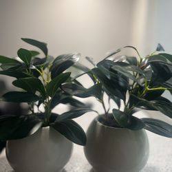 Modern Artificial Green Plant in Ceramic Pot – Home & Office Decor