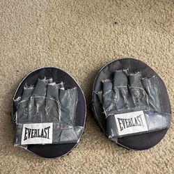 Boxing Pads 